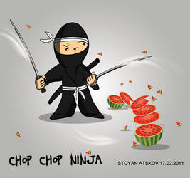 Ninja Character