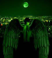 dark green angel