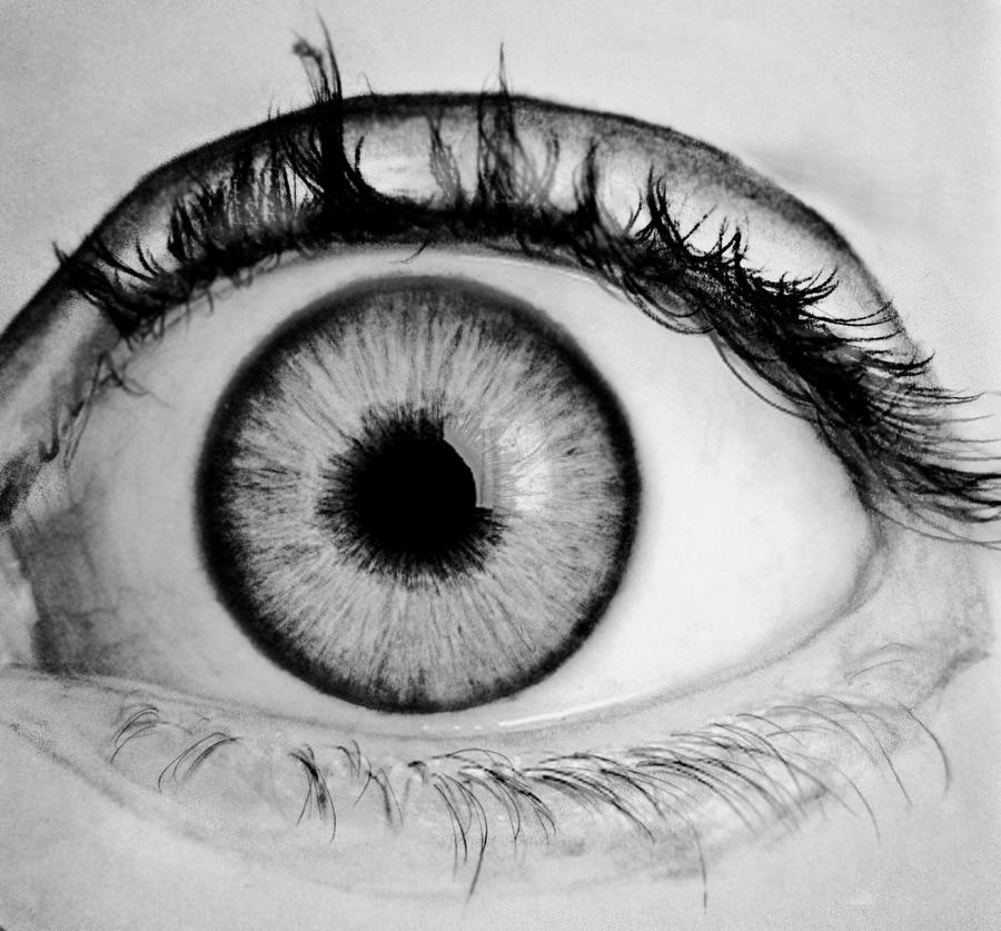 Eye