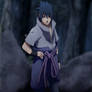 Sasuke 673