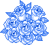 blue roses