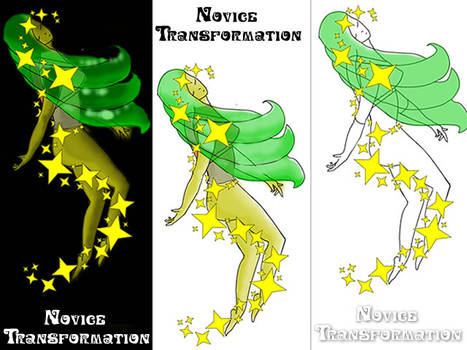 Novice Transformation