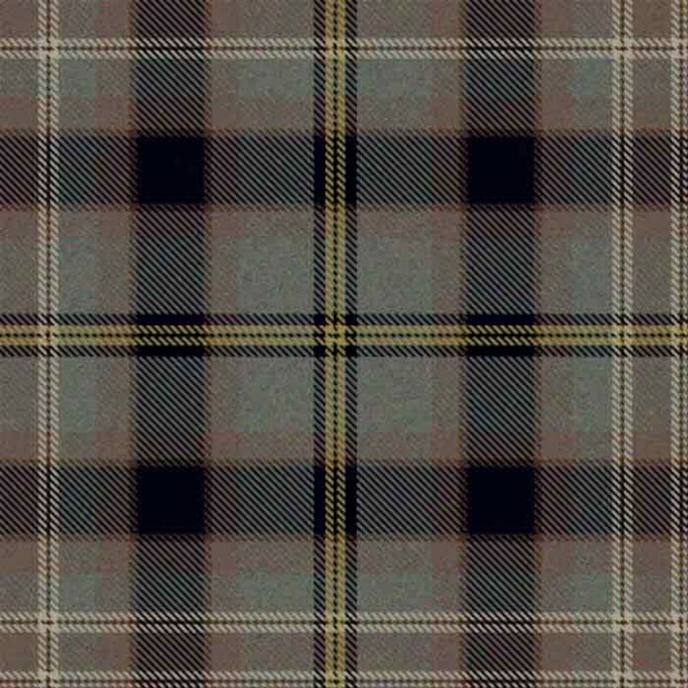 Wildcat-Tartan by moravid Wildcat-Tartan by moravid