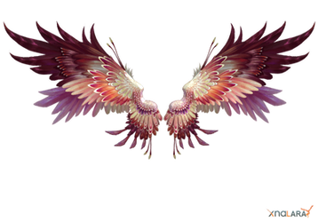 Wings - pink