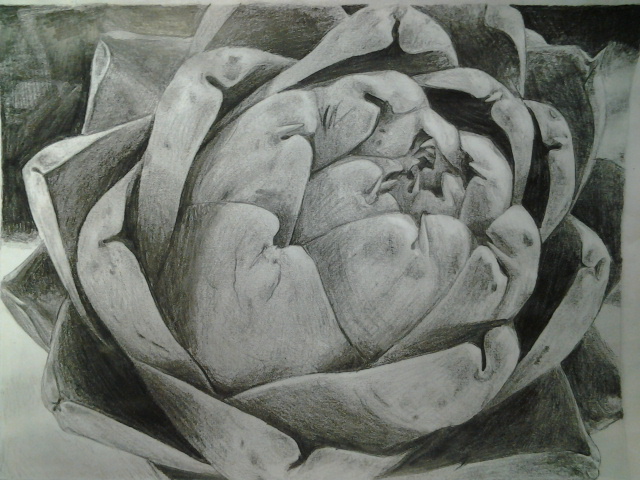 Photorealistic artichoke