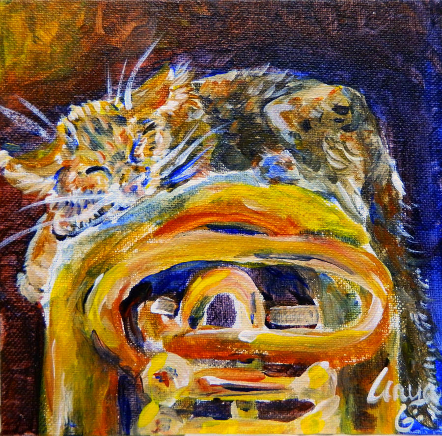 Tuba Kitten