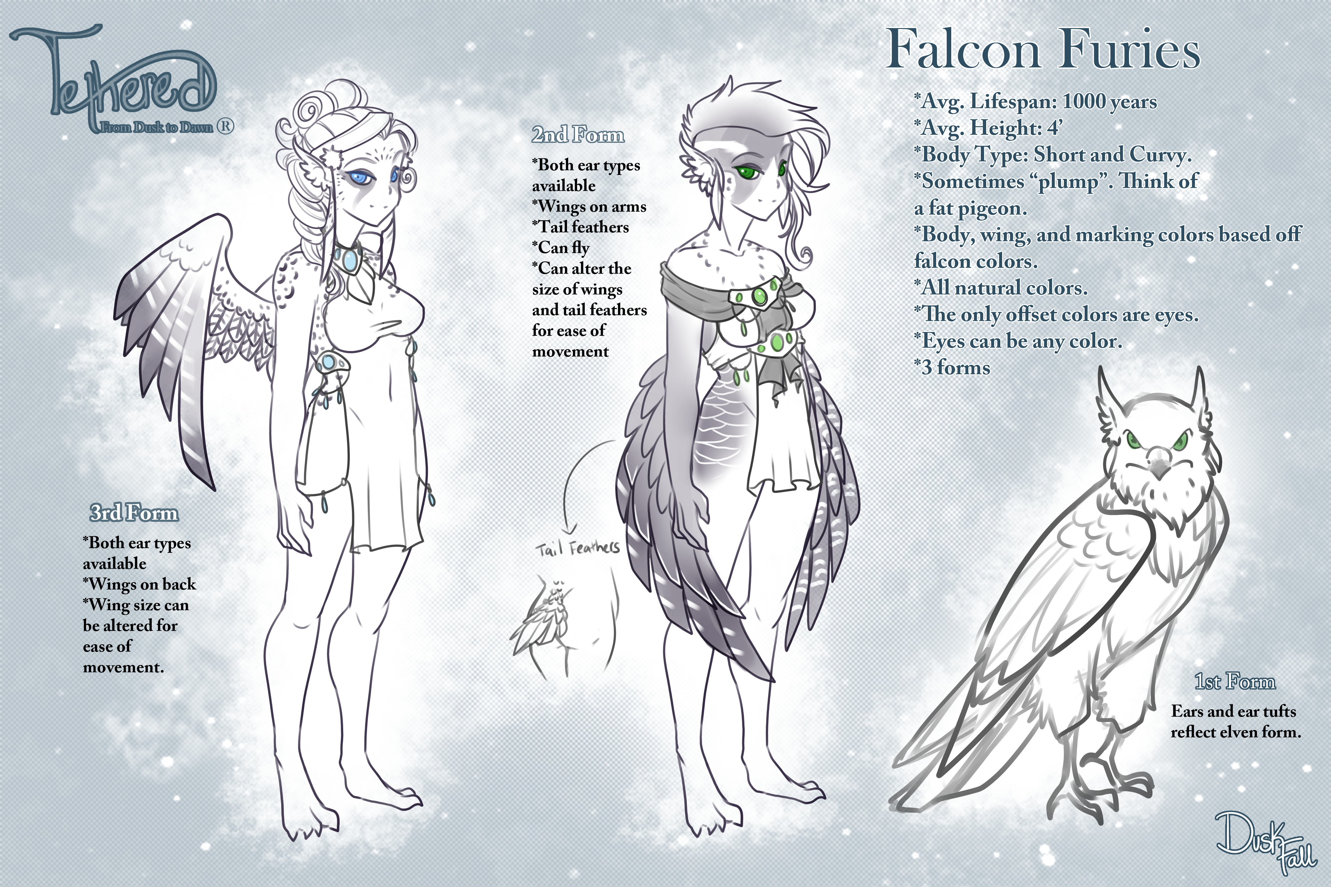 How to Create a Falcon Fury