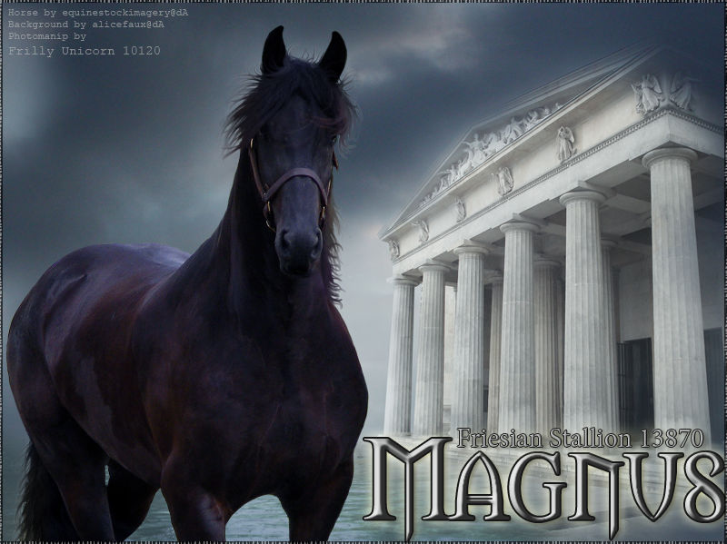 Magnus Type Magnus by frillyunicorn on DeviantArt