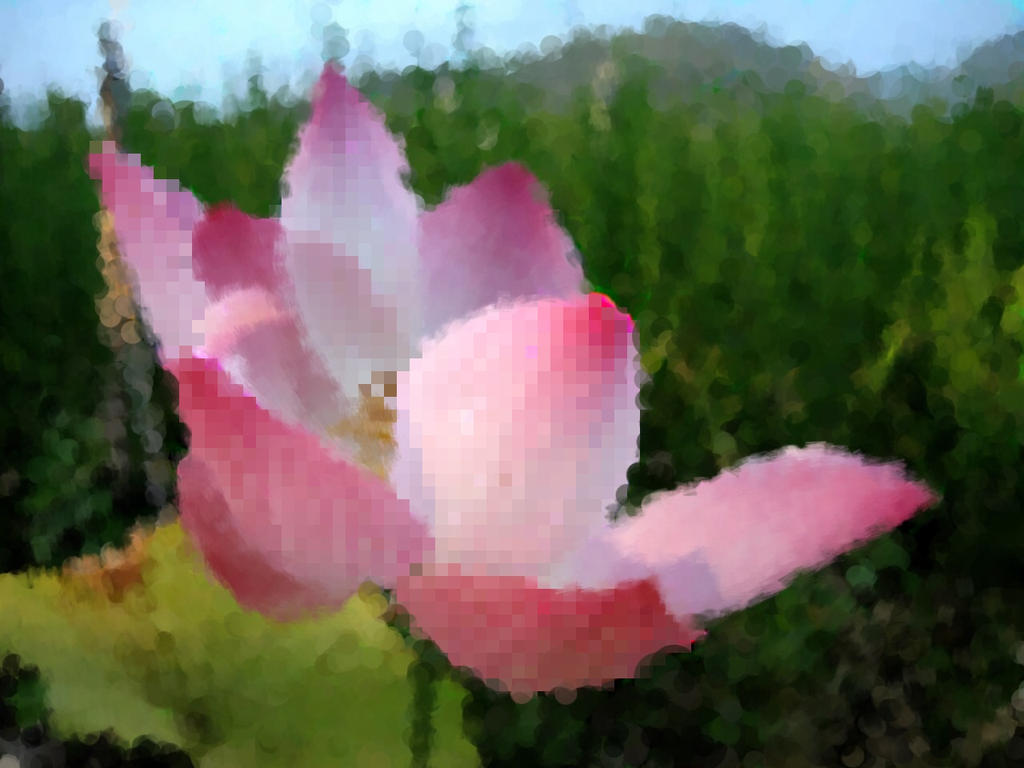 Digital Flower