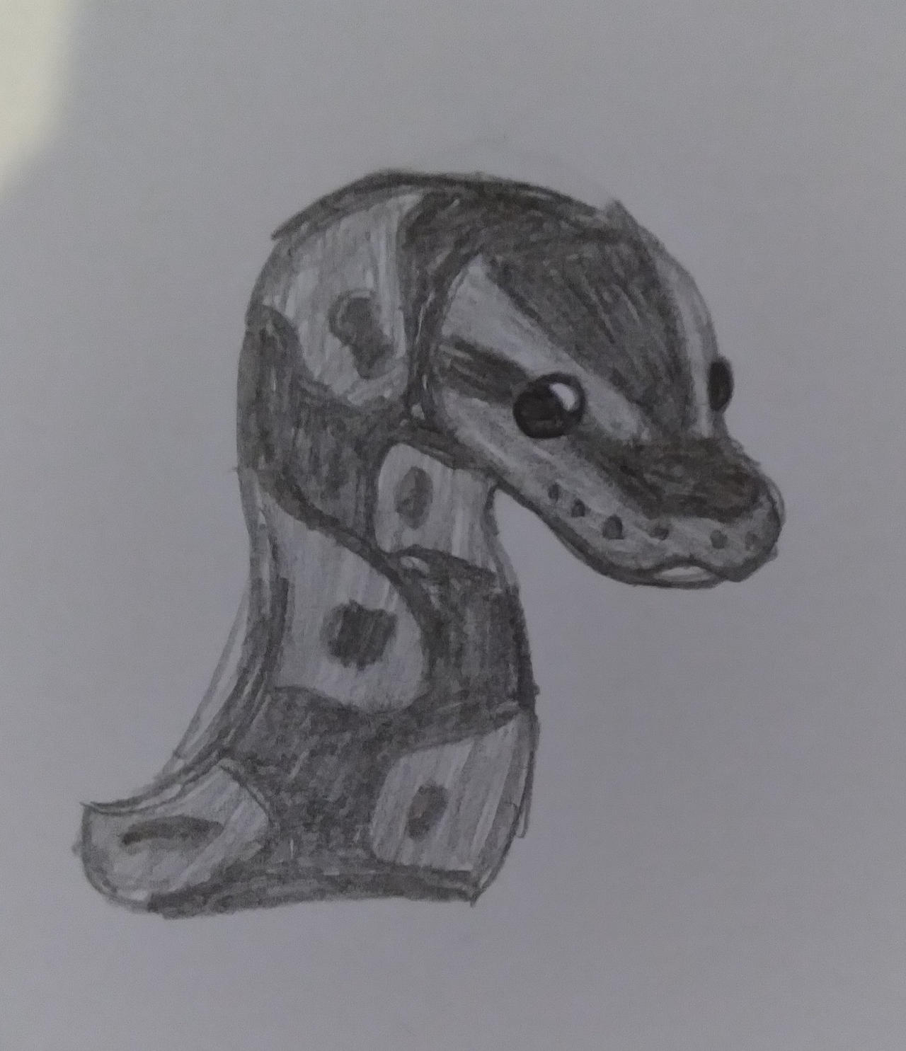 Pyhon Head Drawing Easy How To Draw Head Ball