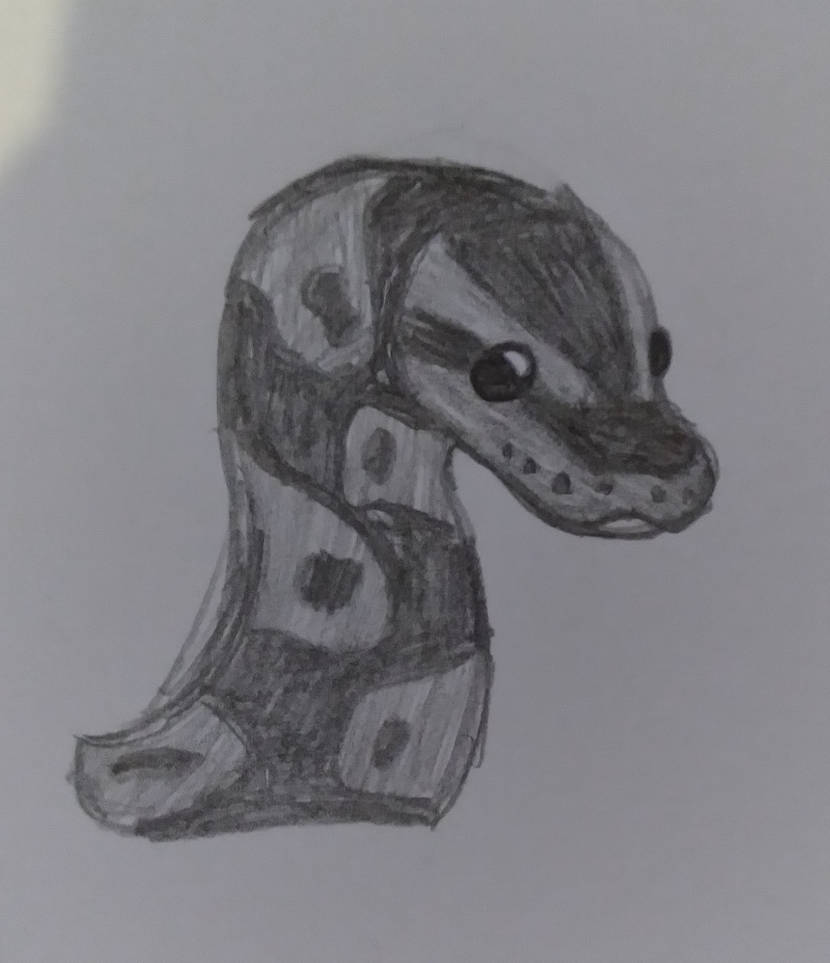 Ball Python Head Sketch by NibbleDrake14 on DeviantArt