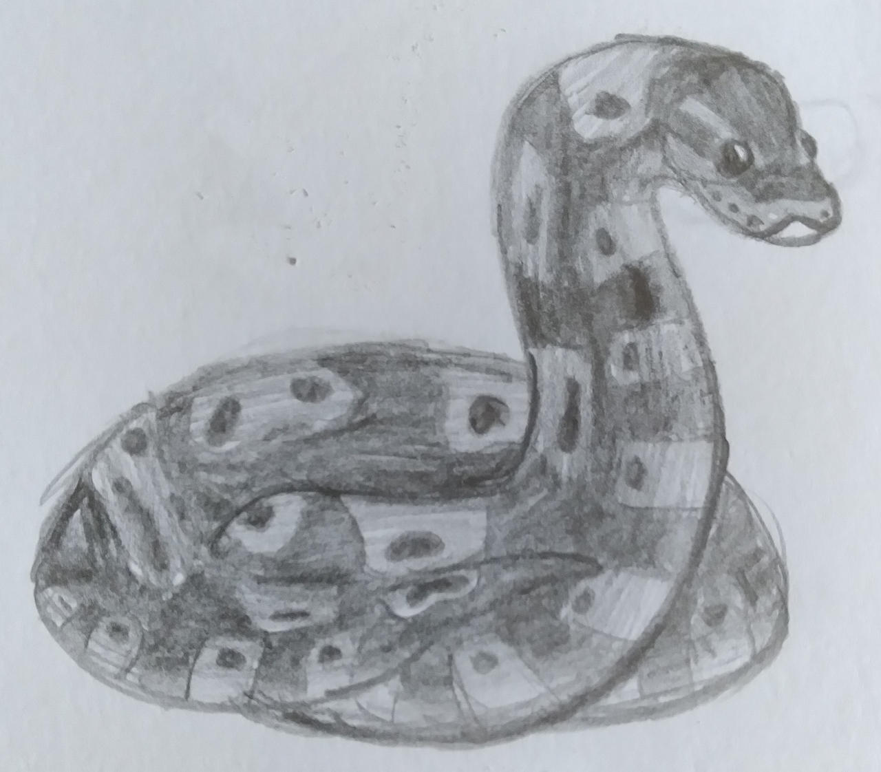 Ball Python Full Sketch by NibbleDrake14 on DeviantArt
