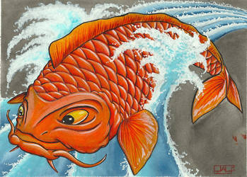 Koi Series, Traditional