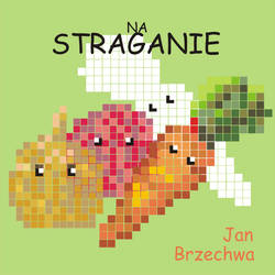 Na straganie