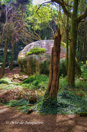 Nature Recycling by Arte-de-Junqueiro Nature Recycling by Arte-de-Junqueiro