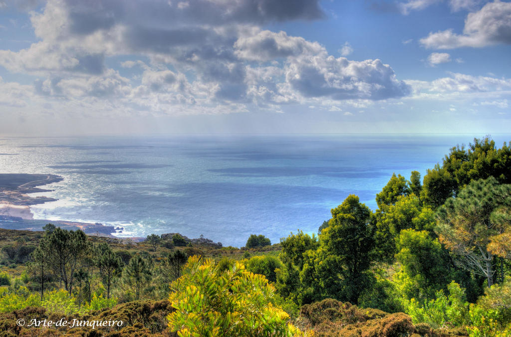 Winter in our 'sub-tropical' paradise by Arte-de-Junqueiro Winter in our 'sub-tropical' paradise by Arte-de-Junqueiro