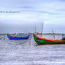 Traditional Fishing Boats