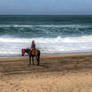 Walking the beach in winter