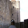 Carcassonne 3
