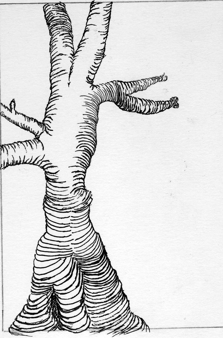 Tree cross contour by ircriket on DeviantArt