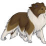 Shetland Sheepdog