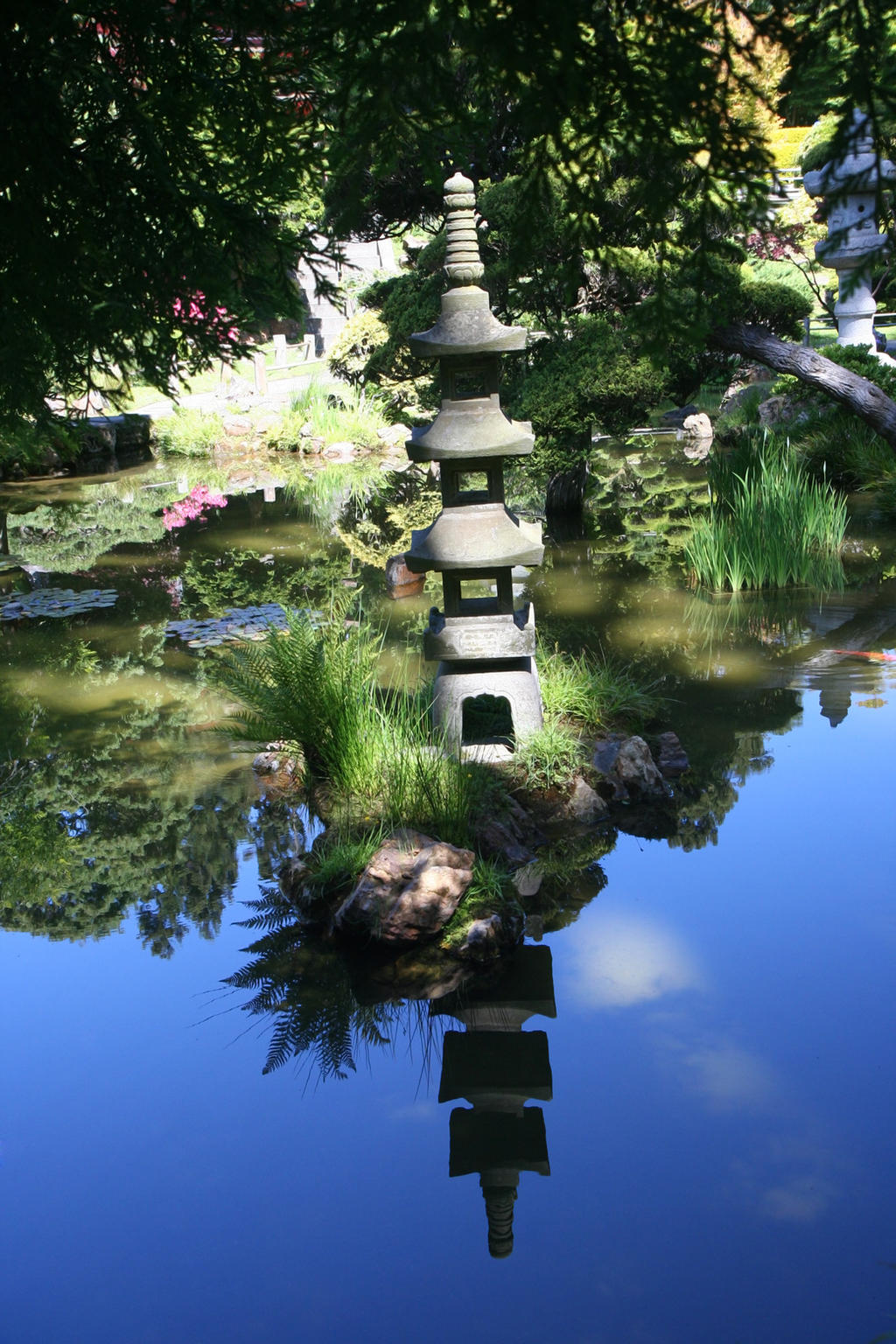 reflection in japanese garden