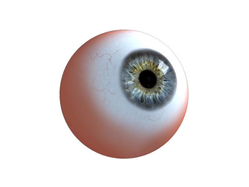 Eye