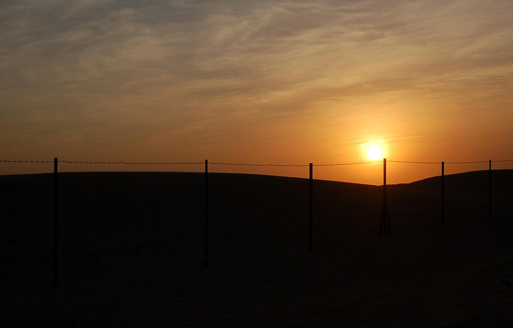desert. sunset.