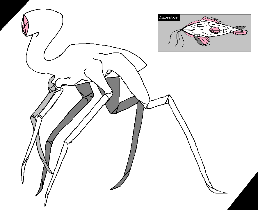 Hexapod Anatomy by scizzorluv on DeviantArt
