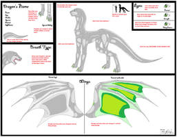 Pre-Shaded Male Dragon Ref Sheet Base 1