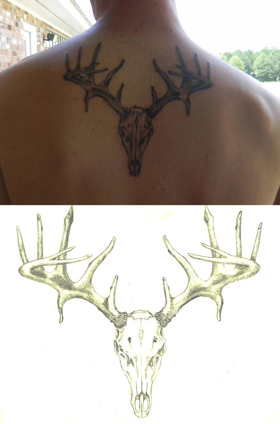 Buck Skull Tattoo by 13Stellar on DeviantArt