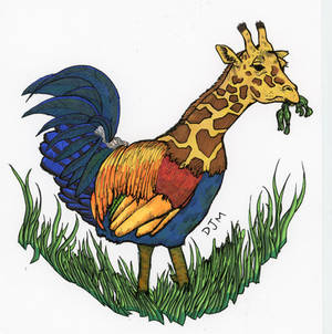 Chiraffe