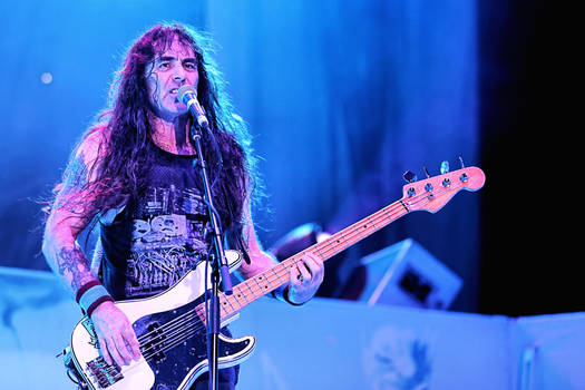 Iron Maiden:  Steve Harris I