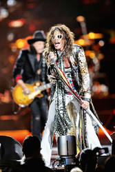 Aerosmith:  Steven Tyler II