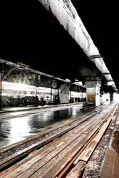 Toronto:  Union Station Shed II by basseca