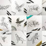 Geometric Beasts Series