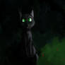 Hollyleaf