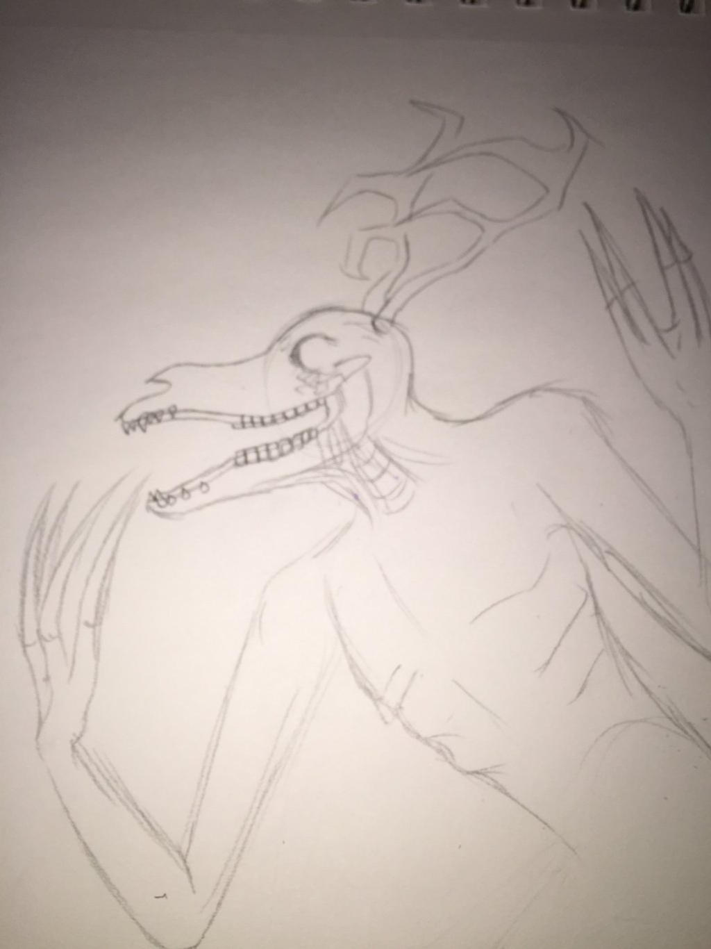 |Sketch| The jersey Devil 