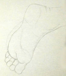 Foot Sketch