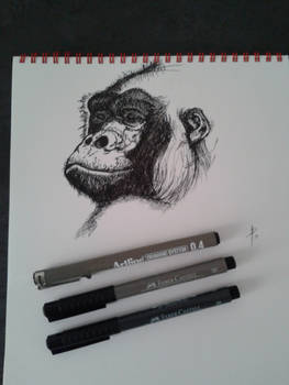 Gorilla Ink