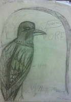 The Raven by Edgar Allan Poe