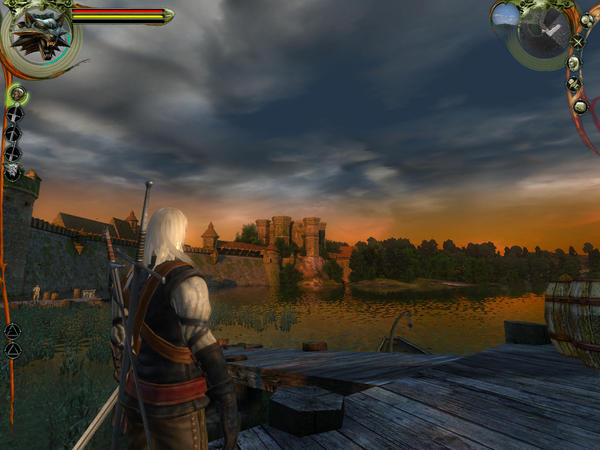 The witcher