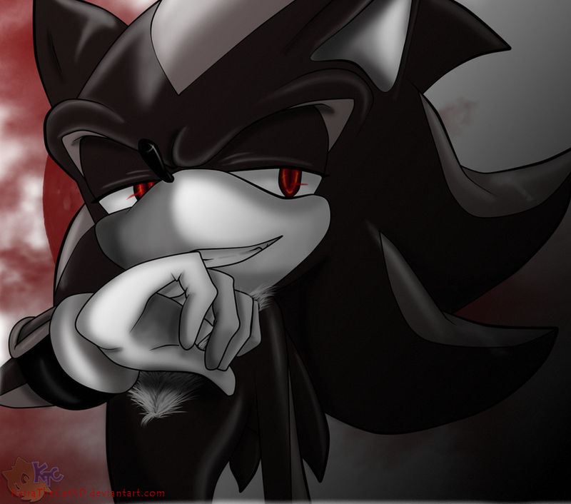 Shadow Raaaaaaar Shadow by KairaA-TheCat on DeviantArt