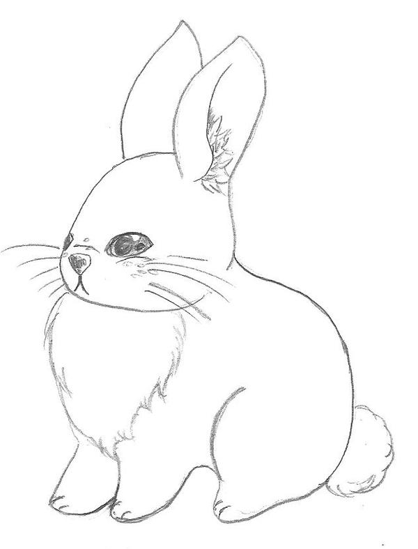 Bunny Lineart by Taiya001 on DeviantArt