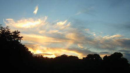 Roath Park Sunset: 1st of 3