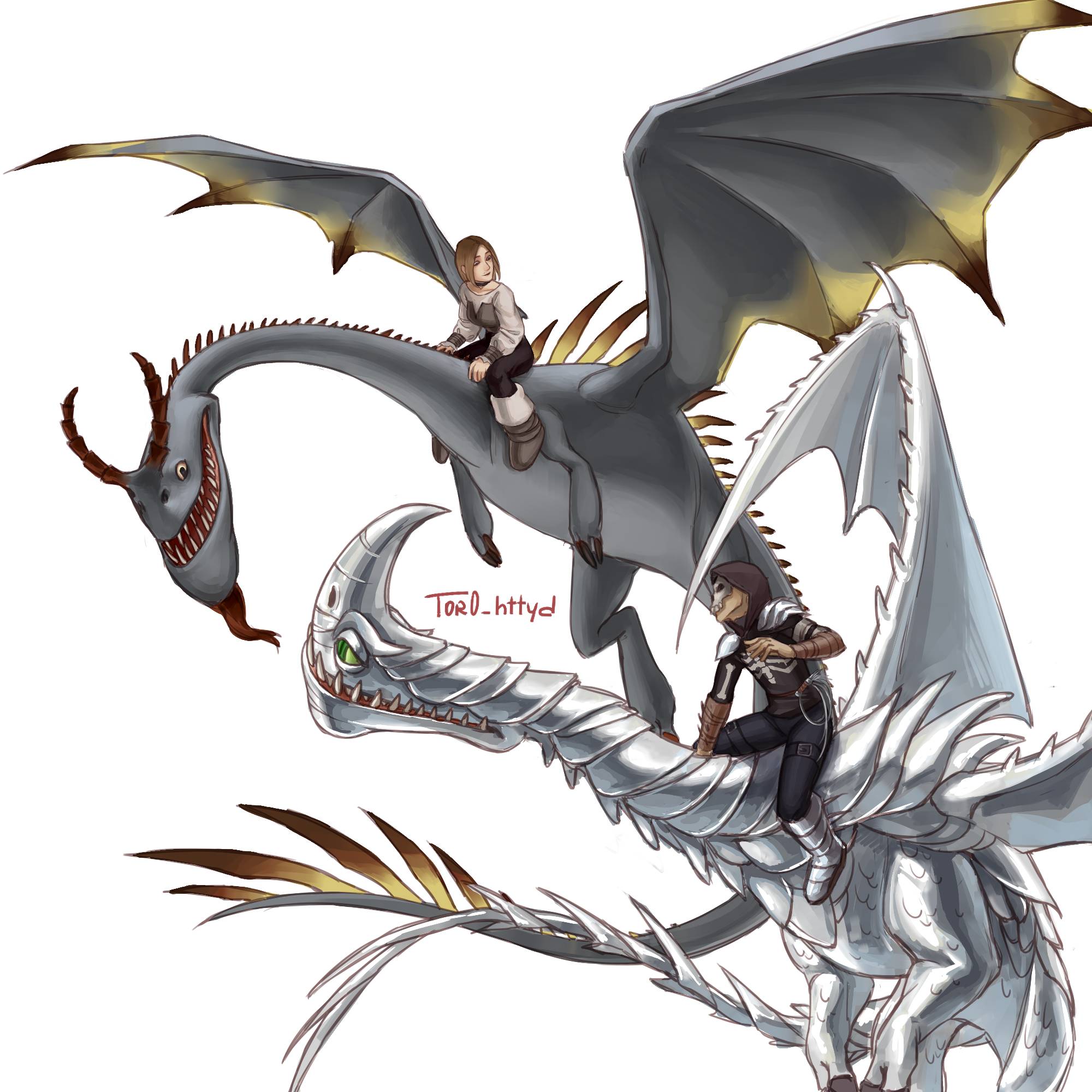 Me and my dragon rider partner by tor0 on DeviantArt