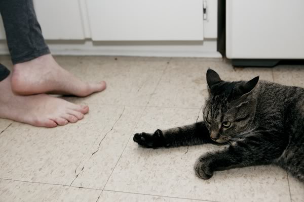 kitchen floor