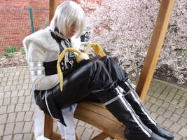 D.gray-man rest