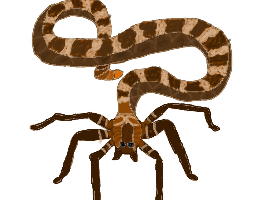 Spider-Snake by mefow on DeviantArt