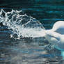 Beluga Always Spits When Angry!